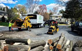 Best Soil Testing and Treatment  in Bryans Road, MD