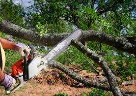 Best Lot and Land Clearing  in Bryans Road, MD